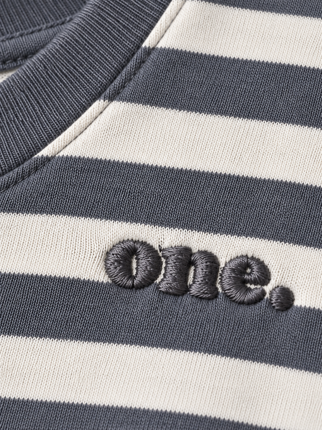 Studio Stripe Gray Crop Tee — detail view